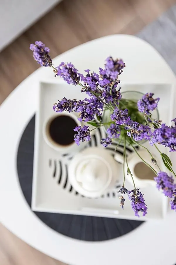Lavender Ocean Apartment Gdansk